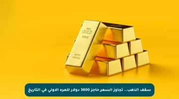 سقف الذهب.. تجاوز السعر حاجز 3800 دولار للمرة الأولى في التاريخ